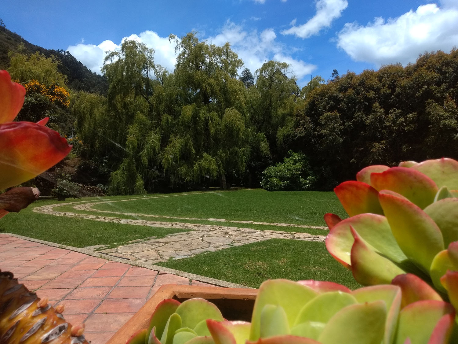 candil_loreto (1)_0080_Fondo